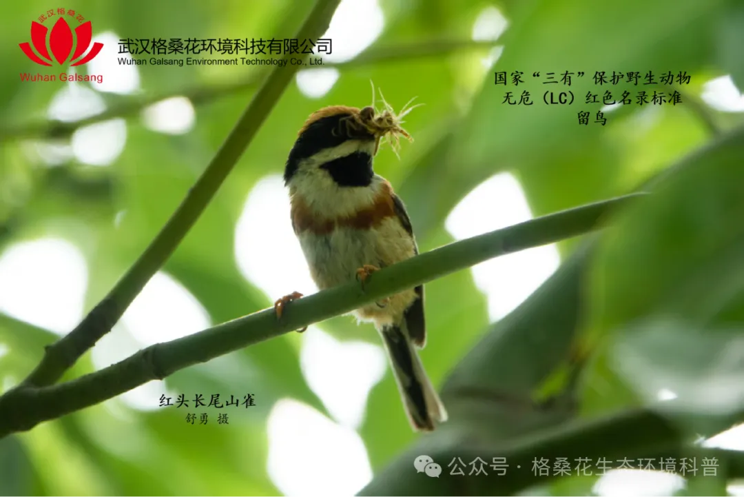640.webp
