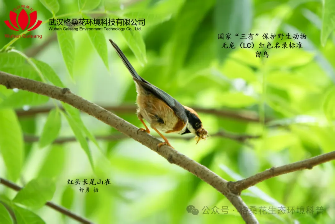 640 (1).webp