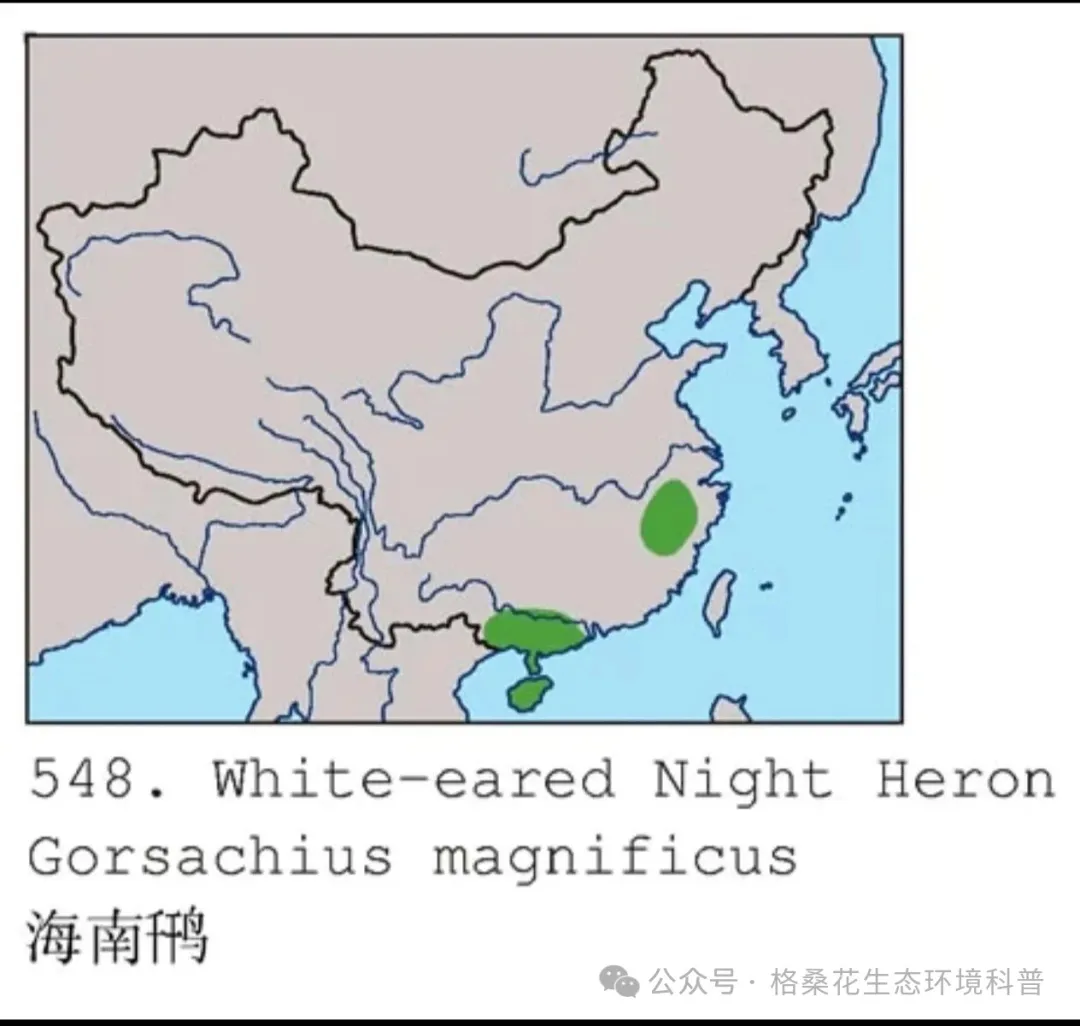 640 (4).webp