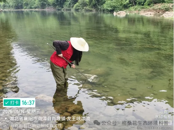 640 (3).webp