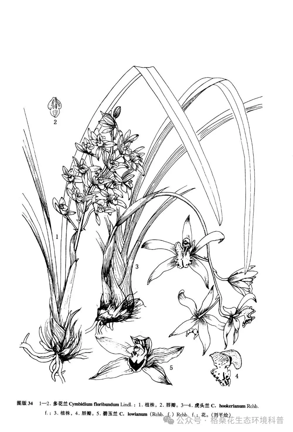 640 (4).webp