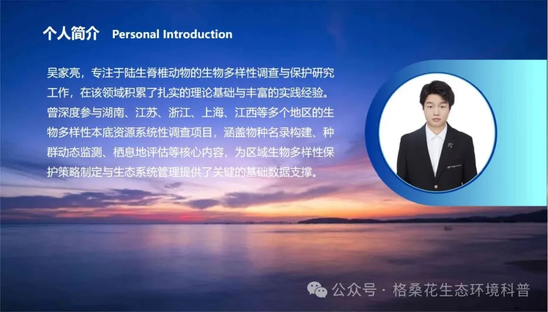 640 (5).webp