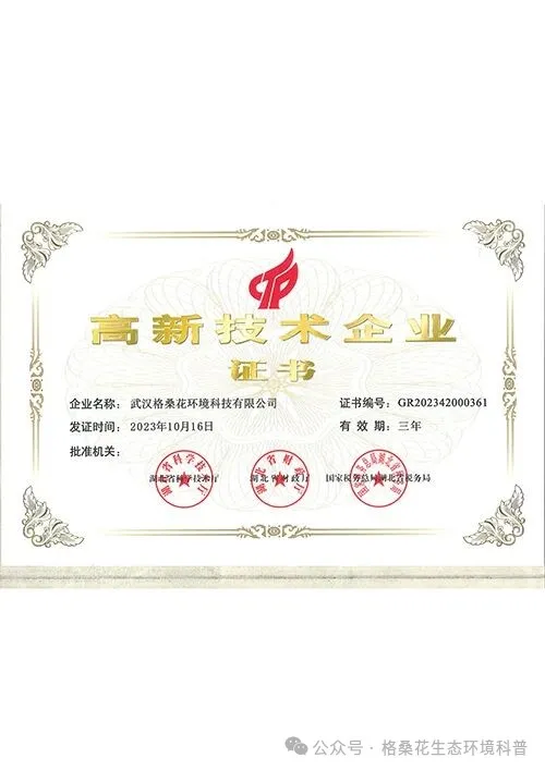 640 (3).webp